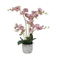 Orchidée Artificielle Faite Main de Haute Qualité, Décoration Murale et de Table Écologique pour Cérémonies de Remise des Diplômes