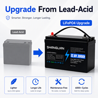 Batterie LiFePO4 12,8 V 300 Ah avec BMS intelligent intégré, batterie au phosphate de fer et de lithium à décharge profonde pour solaire, camping-car et marine.