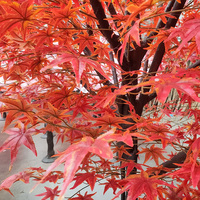 Faux plante d'automne paysage artificiel érables rouges japonais chinois Orange grande vente d'érable