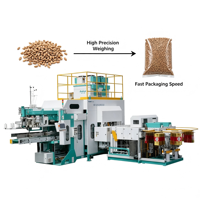 Línea de Ensacado de Gránulos de Fertilizantes y Alimentos Totalmente Automática Ewinall QZB-1600, Sistema de Pesaje Sellado Anticorrosión para Sacos Tejidos de 5-25 kg