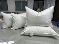 Coussin de lit alternatif au duvet avec logo personnalisé, oreiller de couchage pour hôtel, coussin décoratif, insert de coussin de canapé pour la maison et l'hôtel