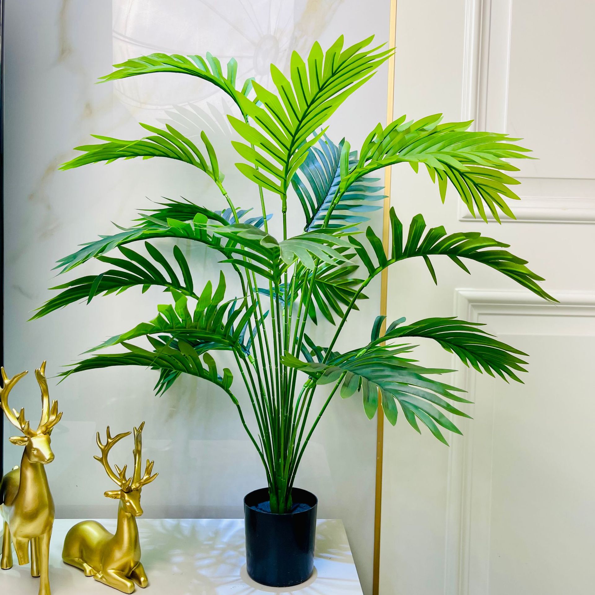 Areca Palmier