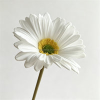 Bunga Gerbera Daisy Buatan Tangan PU Putih L-173, Rangkaian Bunga Pendek untuk Pernikahan & Dekorasi Rumah, Grosir Bunga Artificial