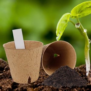 Vasi in fibra <span class=keywords><strong>di</strong></span> cocco biodegradabile fioriere per fiori in cocco sostenibili vaso per fioriera in ceramica - Product Image 3