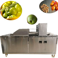 Industriële Fruitkern Zaadverwijderingsmachine Olijfpitmachine Pruimenverwerkingsmachines Fabrieksprijs