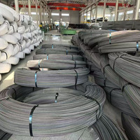 Fil d'acier précontraint pour composants de bâtiments préfabriqués