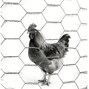 Rete Metallica Esagonale Zincata per Recinzione Pollaio - Product Image 2