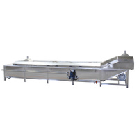 Industriële diepvriesblancheringsmachine voor fruit, groenten en vis met motor van SUS304 roestvrij staal, capaciteit 500 kg/uur