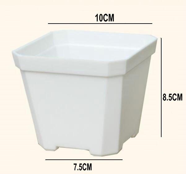 Blanco 10cm