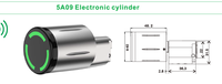 Serrure de porte intelligente extérieure IP68 Nouvelle-Zélande Australie TTlock APP Carte RFID Serrure électronique scandinave