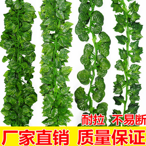 Jasmine Flowers Artificial Ivy Vine 200 Cm Green Foliage <b>Decorative</b> Rattan Plant <b>Leaves</b> For Ceiling <b>Wall</b> Garden - Product Image 4