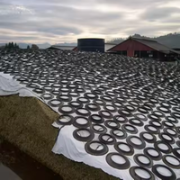 Film de silo à ensilage en plastique LDPE en gros / couvertures de silo à ensilage / bâche en plastique noir et blanc en Amérique du Nord et en Australie