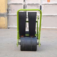 Machinerie agricole 2 rangées planteuse d'ail à pousser à la main à vendre