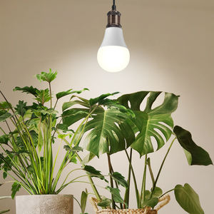 J&C グロウライト <span class=keywords><strong>A60</strong></span> A19 フルスペクトル育成ライト電球 E27 E26口金相当 室内植物種子発芽用育成ライト - Product Image 1