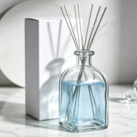 Bouteille en verre transparente vide de 100 ml pour diffuseur à bâtonnets, rechargeable, récipient d'aromathérapie transparent pour huile parfumée d'intérieur, logo personnalisé, OEM