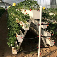 Système hydroponique de gouttière de plantation d'agriculture verticale de fraise