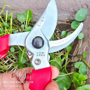 Sécateur de jardin Taiwan Jiuyilang 130 avec lame en acier et poignée antidérapante pour l'élagage des arbres et des fruits - Product Image 2