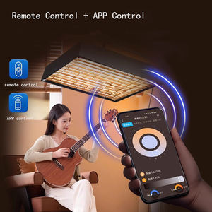 Boîte à lumière LED rectangulaire 60x60cm 150W pour studio photo, éclairage photographique, Softbox en tissu roulant - Product Image 5