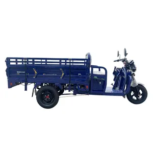 Three Wheeler Electric Cargo Tricycle 500kg With Durable Chassis