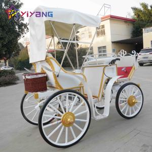 <span class=keywords><strong>Chariot</strong></span> à chevaux électrique unique <span class=keywords><strong>chariot</strong></span> à chevaux magique pour princesse transport à <span class=keywords><strong>cheval</strong></span> élégant pour toutes les occasions - Product Image 4