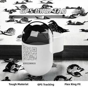 Verstelbare <span class=keywords><strong>Ring</strong></span> Smart <span class=keywords><strong>Tag</strong></span> Voor Duiveneend Gps Tracking Vee <span class=keywords><strong>Management</strong></span> <span class=keywords><strong>Tag</strong></span> Voor Vogels Voor Duiveneendenbeheer - Product Image 2