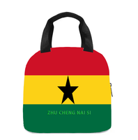 Sac à lunch isotherme avec drapeau d'Haïti, parfait pour les enfants, la maternelle, l'école, le travail, les voyages, les pique-niques, facile à transporter, unisexe