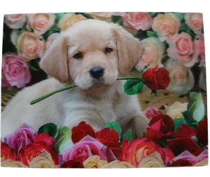 การ์ดรูปภาพพลาสติก3D 2ภาพแบบกำหนดเองการ์ดพีวีซี3D เอฟเฟกต์การเปลี่ยน - Product Image 6