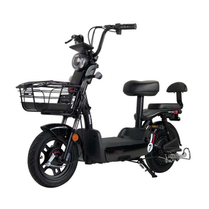 Kit moteur pour batterie 1000W 48V avec moyeu sans balais 6000W, vélo électrique de montagne, porte-bagages, cadre pliable 20 pouces, vélo-taxi électrique - Product Image 2