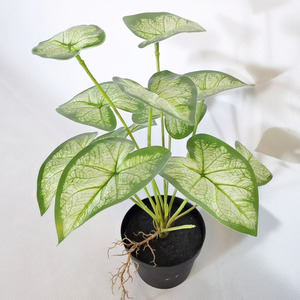 Piccola casa ufficio artificiale Dieffenbachia albero finta pianta d'<span class=keywords><strong>appartamento</strong></span> con verde dorato foglie di plastica <span class=keywords><strong>in</strong></span> <span class=keywords><strong>vaso</strong></span> pianta finta - Product Image 6