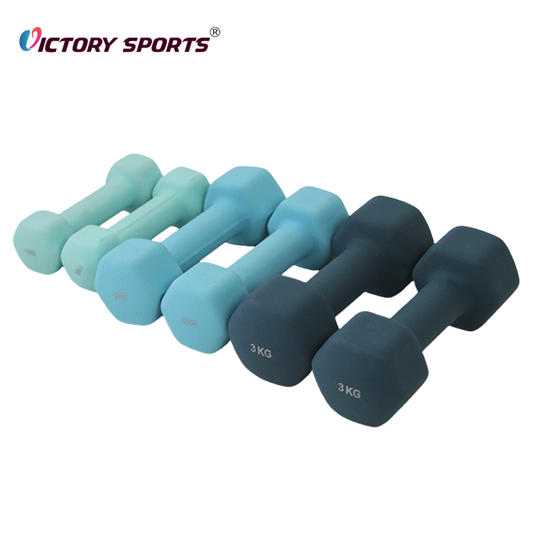 Vinyl Neoprene Iron Hexagonal Woman Fitness Pilates 5kg 4kg 3kg Dumbbell Round Dumbbell for Home Use