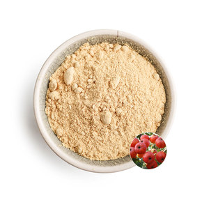 ผงสารสกัดจากผลฮอว์ธอร์นบริสุทธิ์สูง ช่วยส่งเสริมการย่อยอาหาร สารสกัดจากสมุนไพร อาหารเสริมเกรดอาหารเพื่อสุขภาพ - Product Image 3