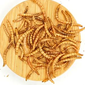 Insectenproteïnebron voor pluimvee, kippen en vogelvoer: gedroogde meelwormen - Product Image 6