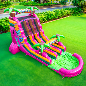 Nouveau château aquatique gonflable à double toboggan, couleur fruit du dragon, <span class=keywords><strong>avec</strong></span> palmier et <span class=keywords><strong>piscine</strong></span> pour jeux d'été en extérieur dans la cour - Product Image 1