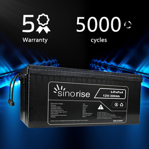 Batteries LiFePO4 Lithium-Ion en Promotion 12V 12.8V 24V 100Ah 200Ah 300Ah pour Camping-Car - Product Image 6