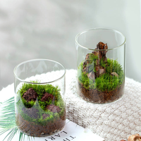 Vas Bunga Terrarium Kaca Silinder Klasik - Dekorasi Rumah Ramah Lingkungan Kualitas Premium untuk Pernikahan atau Hadiah