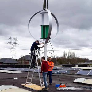 कम शोर ऊर्ध्वाधर पवन पवन ऊर्जा जनरेटर 2 <span class=keywords><strong>kW</strong></span> - Product Image 6