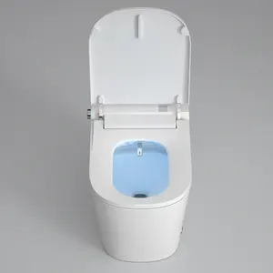 Nieuw Ontwerp Innovatie Vloer Gemonteerd Verbonden Wit Smart Toilet Voor Op Maat