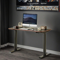 Bureau debout électrique professionnel réglable, cadre en fer, plateau en MDF, capacité 80-120 kg, ergonomique moderne pour bureau, maison et gaming
