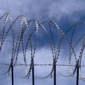 Vendita Calda BTO-25 30 Filo Spinato Zincato a Doppia Bobina in PVC per Recinzioni Protettive in Cantieri e per la Sicurezza del Paese - Product Image 2