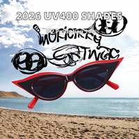 Lunettes de soleil 2026 HighEnd Trend avec noyau d'acide propionique Protection UV400 Petit cadre en PC