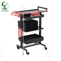 Mostrador para Barbería Jincheng, Carrito Auxiliar de Lujo para Peluquería, Gabinete de Herramientas de Salón con Cajón de Almacenamiento de Acero Inoxidable