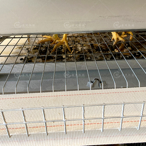 가금류 농업 장비 레이어 닭고기 계란 수집 시스템 10000 레이어 닭 자동 가금류 농장 새 케이지 판매 - Product Image 5