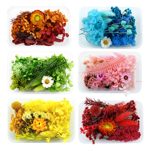 En vrac <span class=keywords><strong>pas</strong></span> <span class=keywords><strong>cher</strong></span> feuille eucalyptus rose <span class=keywords><strong>fleurs</strong></span> séchées bricolage bougie faisant boîte multi-forme jour de la terre de pâques - Product Image 4