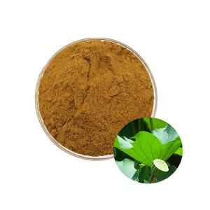 純粋な蓮の葉エキス粉末 100% 天然、高効力の健康フォーミュラ プレミアム蓮の葉エキス - Product Image 4