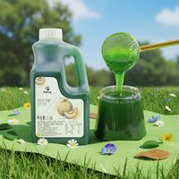 Doking Factory Wholesale Cantaloupe Fruit Puree Jam with Real Pulp for Bubble Tea Ingredients Melon Syrup for Smoothies