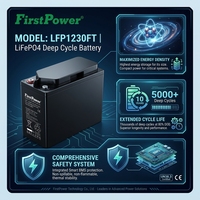 Batterie au gel sans entretien FirstPower LFP1230FT 12V haute performance, capacité 360Wh, alimentation de secours pour