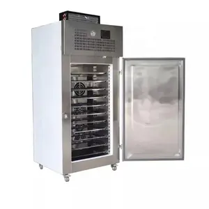 Máquina de congelamento rápido tipo gabinete IQF para Durian Congelado