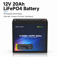 Batterie au lithium rechargeable Delong LFP1220 LiFePO4 12V 20Ah 256Wh avec garantie de 5 ans pour éclairage solaire, camping, détecteur de poissons, alimentation de secours