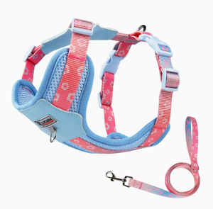 Kangdarpet Padded for <strong>Small</strong> Medium <strong>Dogs</strong> Pomeranian Colorful Outdoor Leash Breathable Design <strong>Dog</strong> Chest <strong>Harness</strong> - Product Image 3