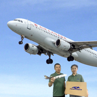 Çin'den ABD'ye Kapıdan Kapıya Ekspres Teslimat Nakliye Hizmeti DDP LCL